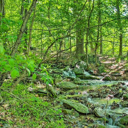 Renovated Studio On 5 Acres - Near Vineyards! Crozet المظهر الخارجي الصورة