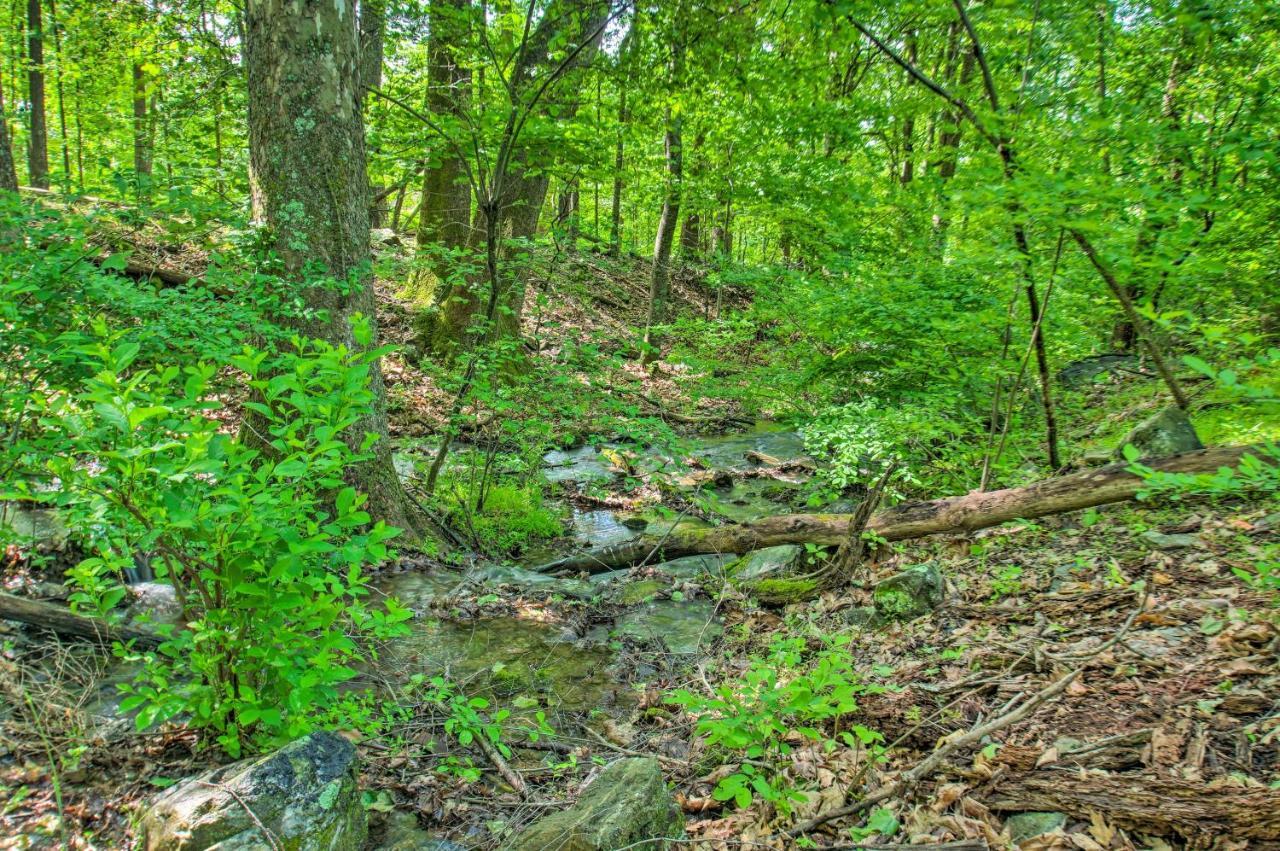 Renovated Studio On 5 Acres - Near Vineyards! Crozet المظهر الخارجي الصورة