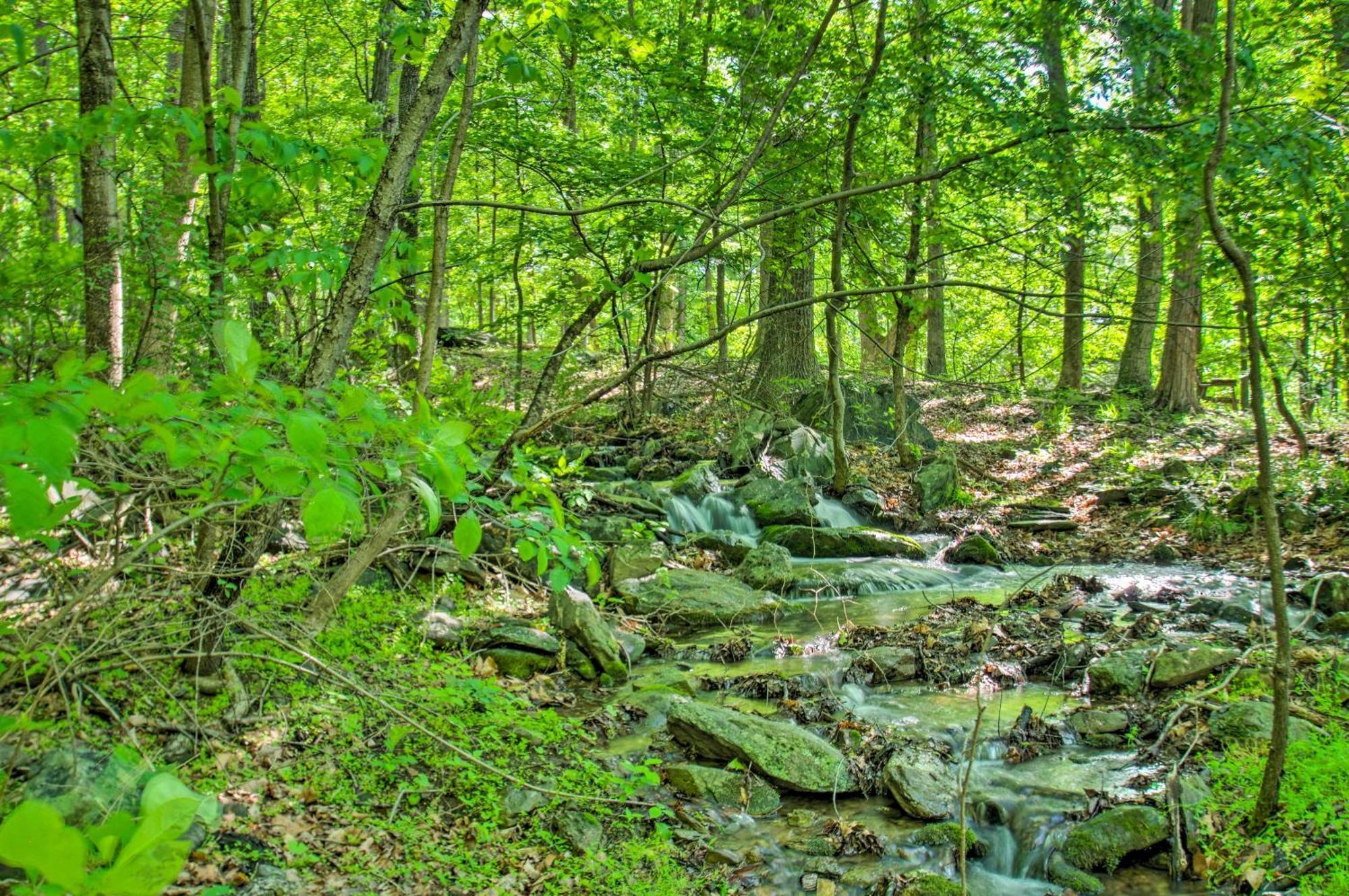 Renovated Studio On 5 Acres - Near Vineyards! Crozet المظهر الخارجي الصورة